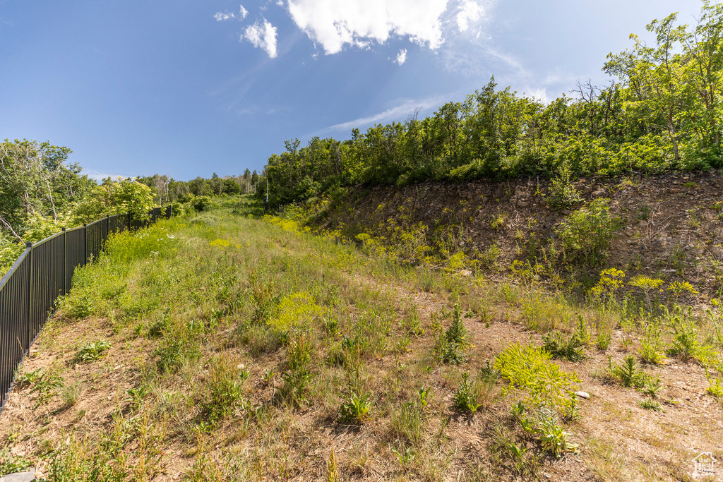 View of nature