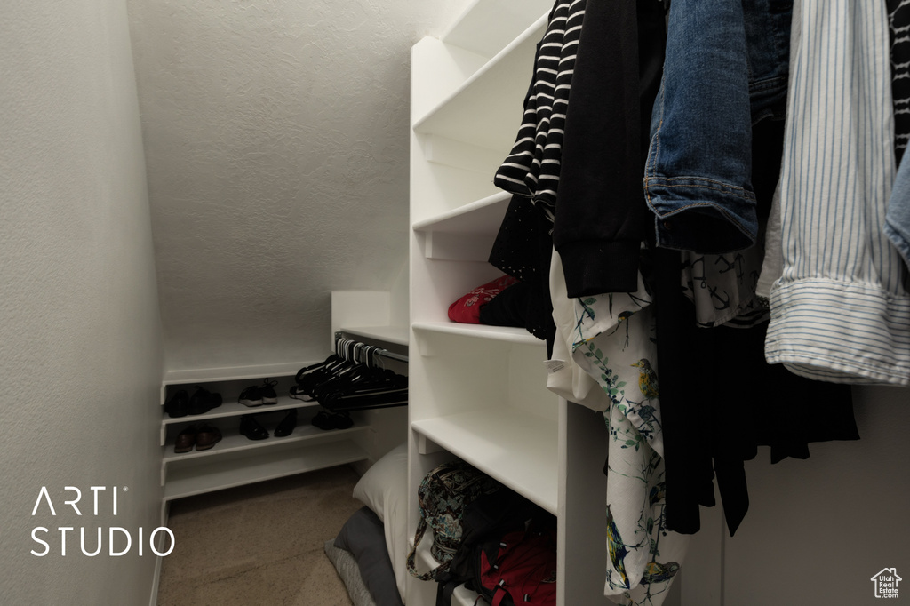 Spacious closet with carpet