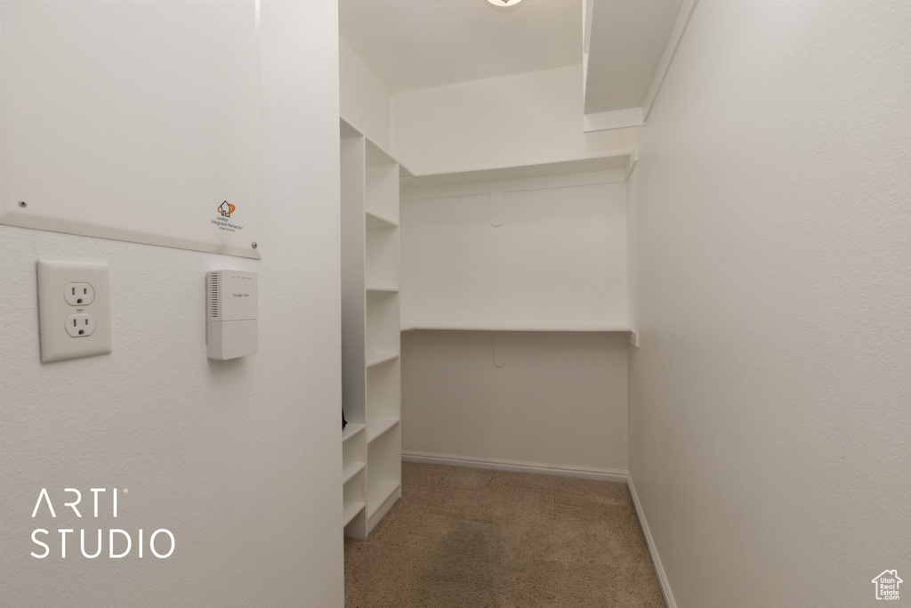 Spacious closet featuring carpet floors