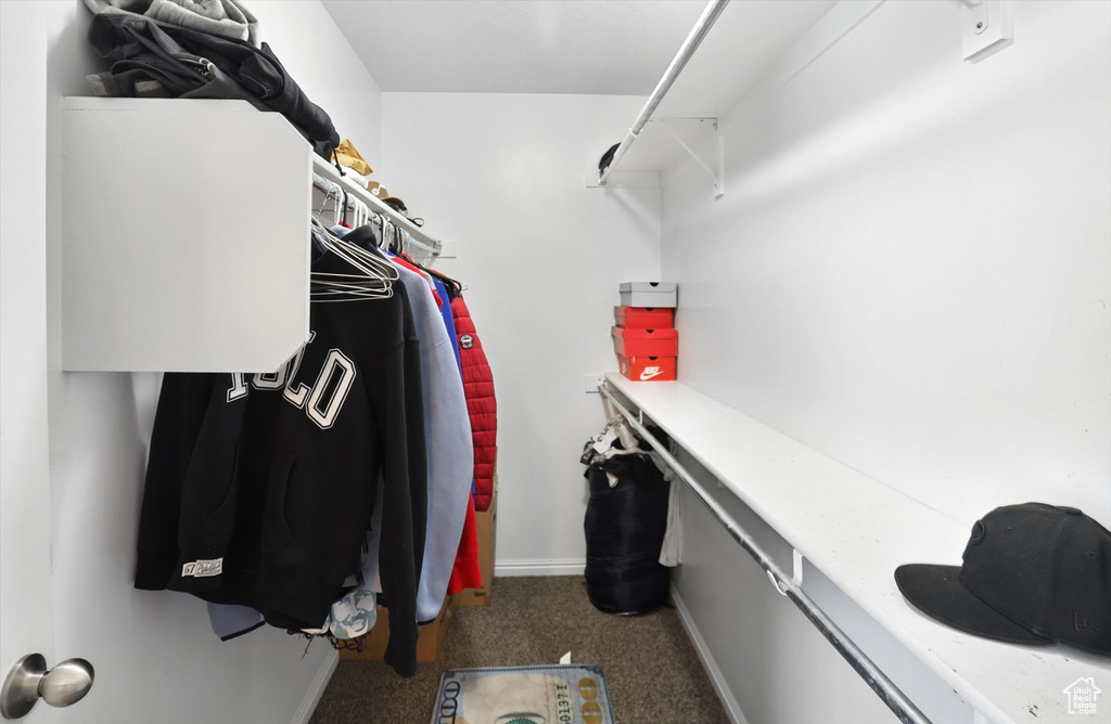 Walk in closet featuring carpet