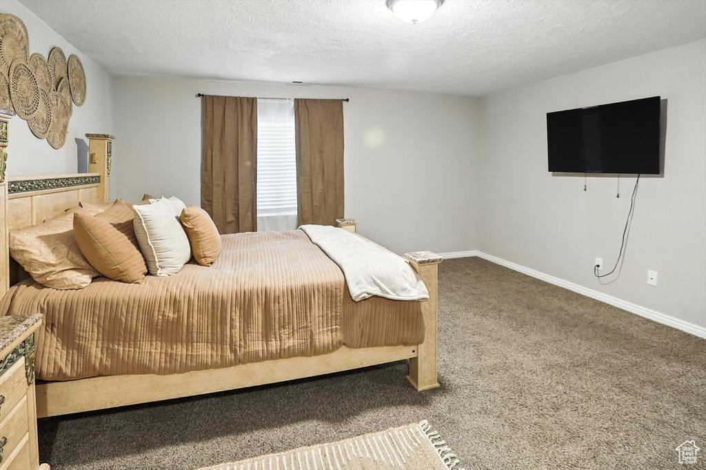 Bedroom with carpet flooring and a textured ceiling