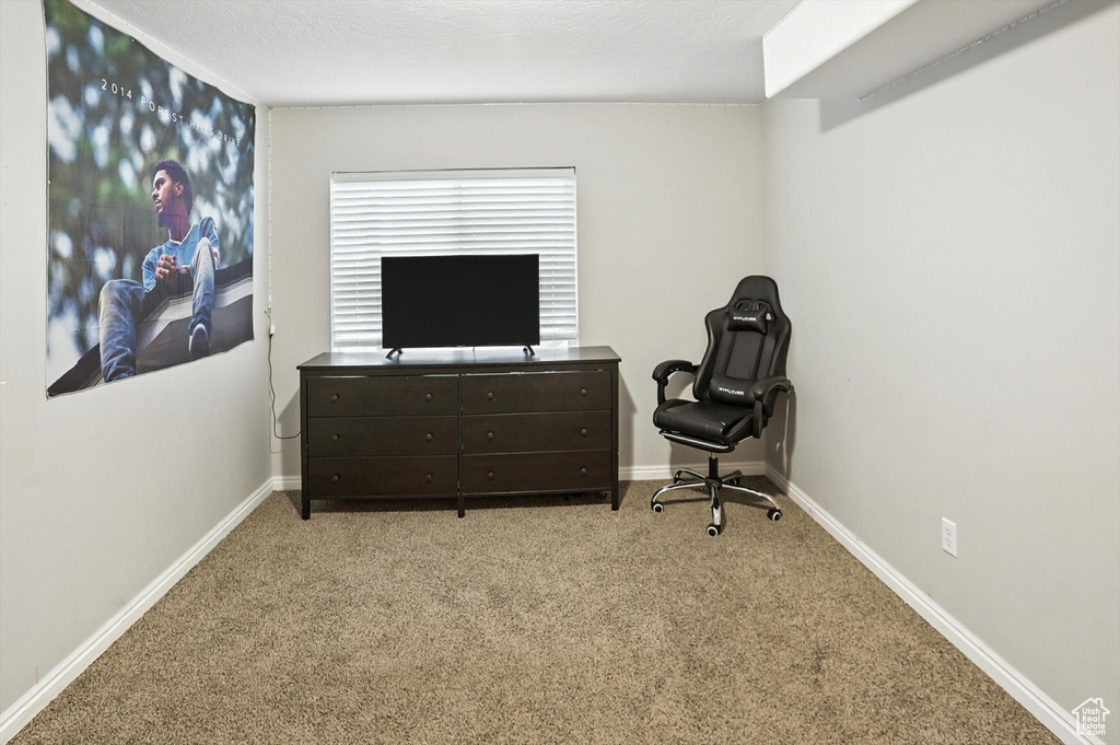 Living area with carpet