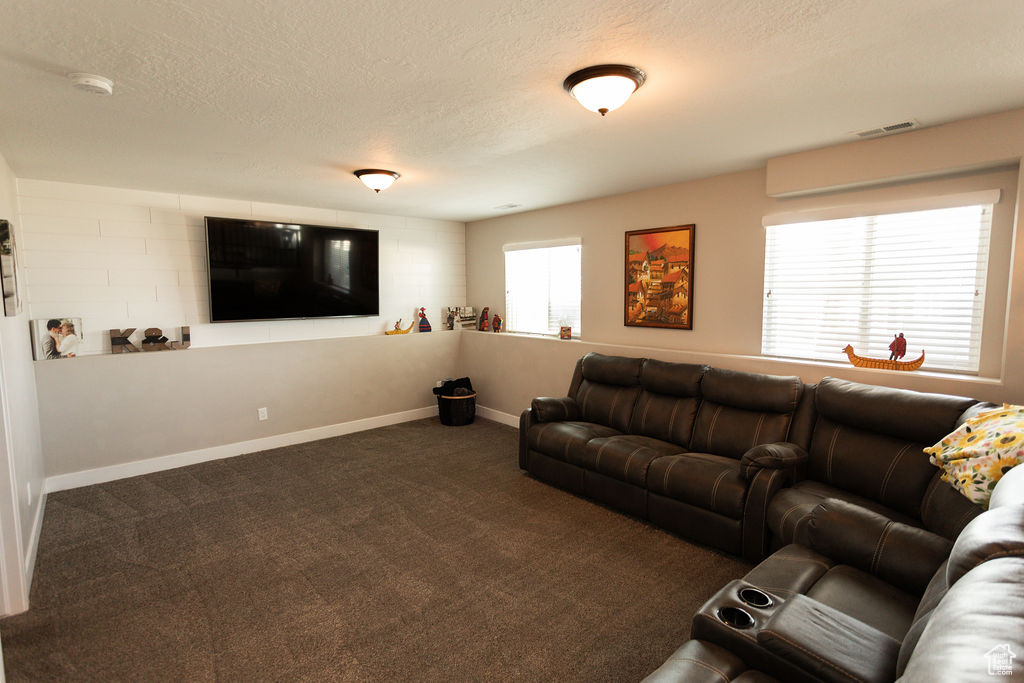 Carpeted living area with a textured ceiling