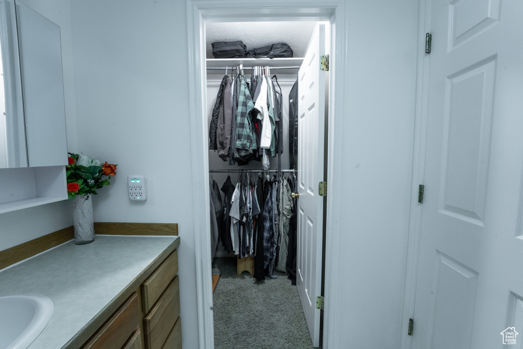 Spacious closet with carpet flooring