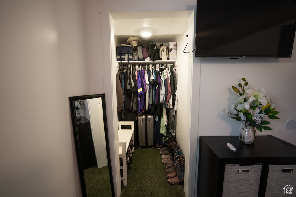 Spacious closet with carpet flooring