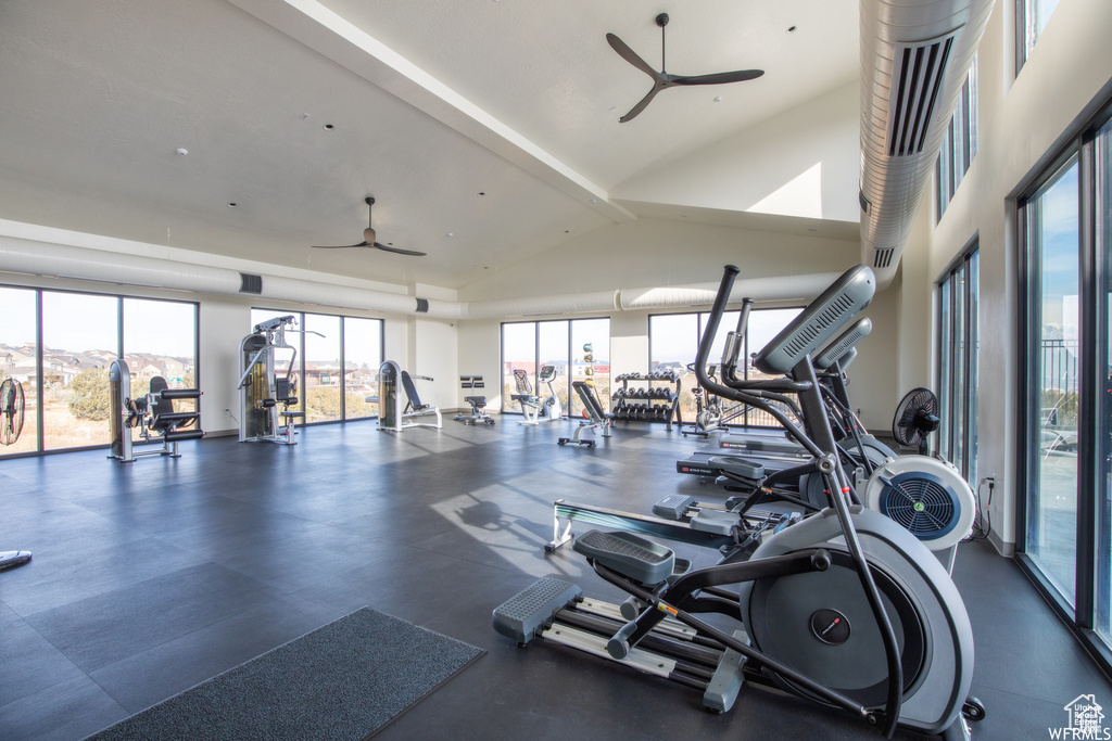 Workout area featuring ceiling fan and vaulted ceiling