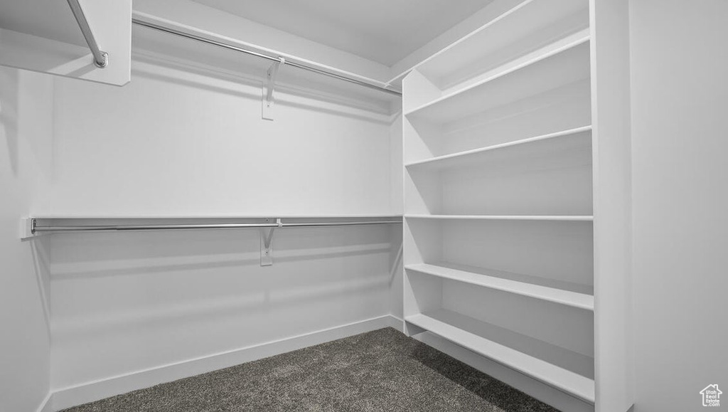 Walk in closet with dark carpet