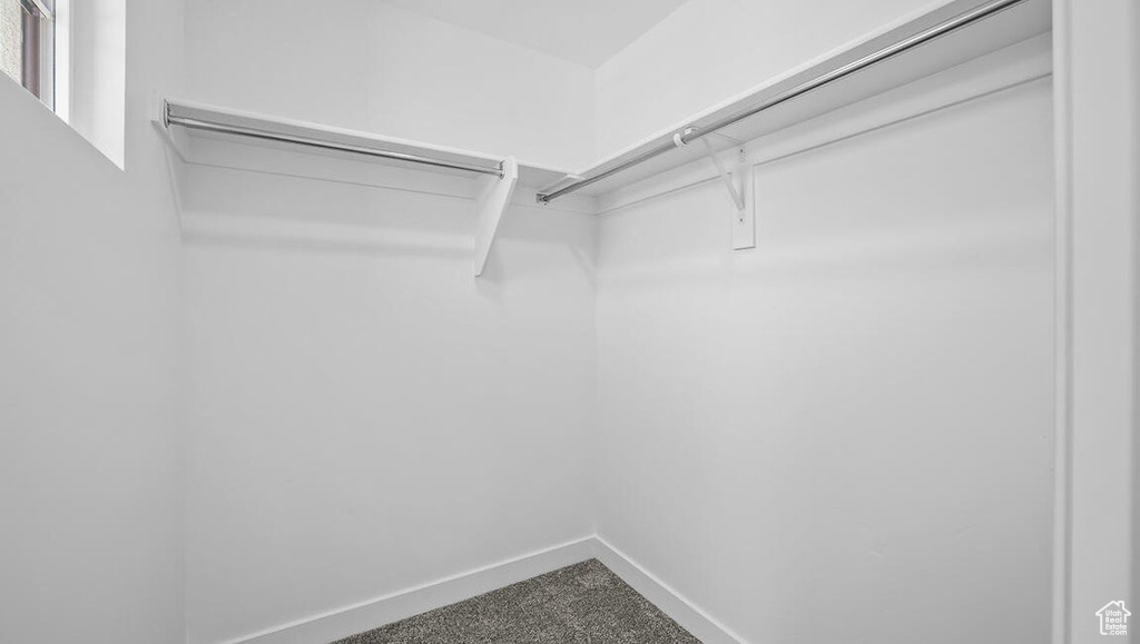 Walk in closet with carpet