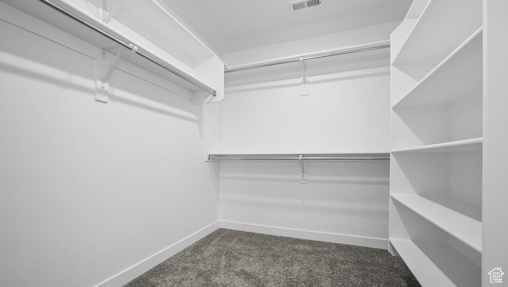 Spacious closet featuring dark carpet