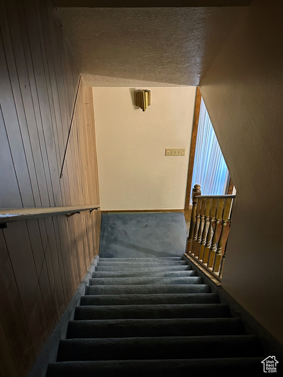 Staircase with carpet and wooden walls