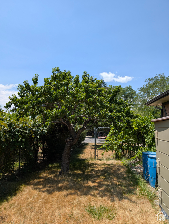 View of yard featuring a gate