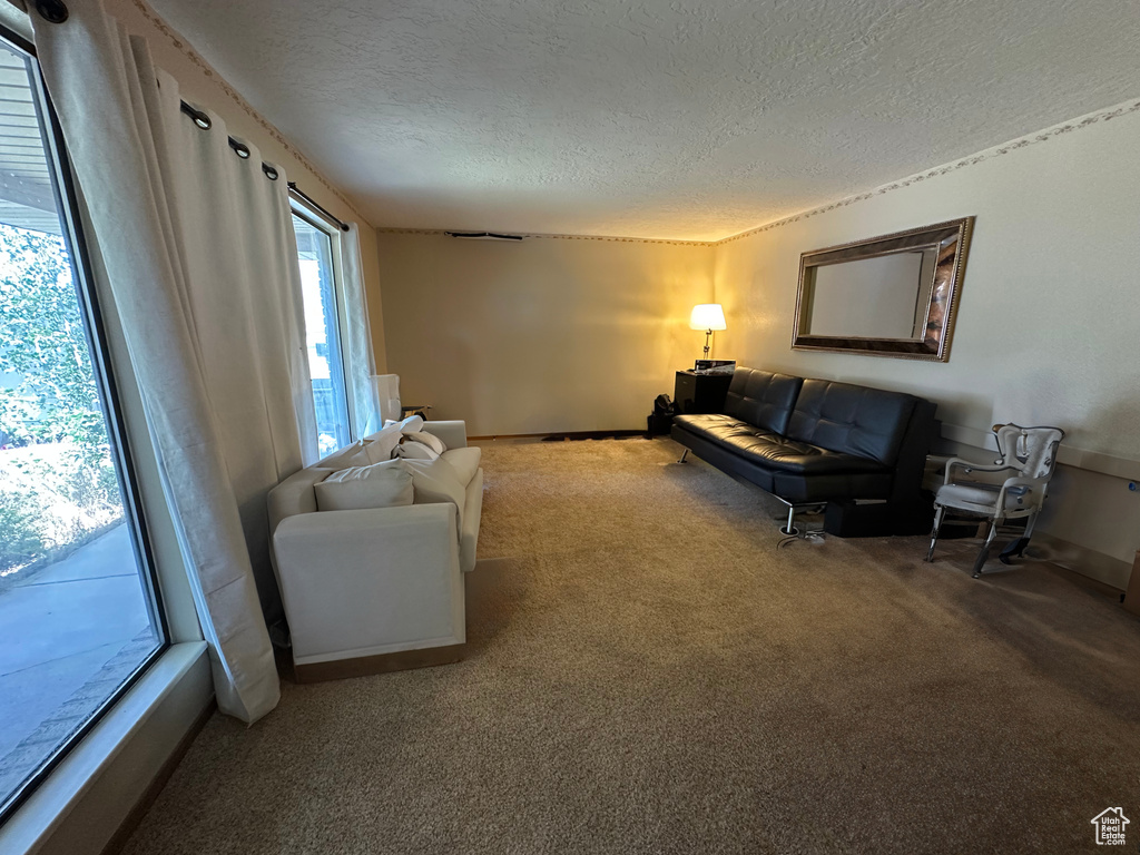 Living room with a textured ceiling and carpet floors