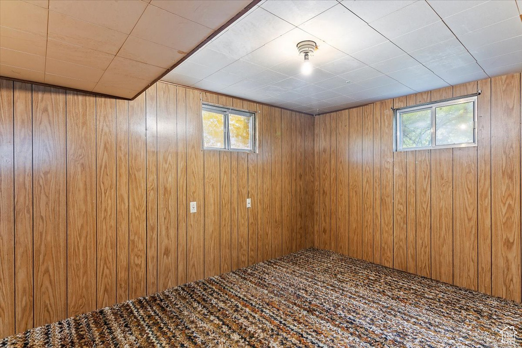 Below grade area featuring healthy amount of natural light and wood walls