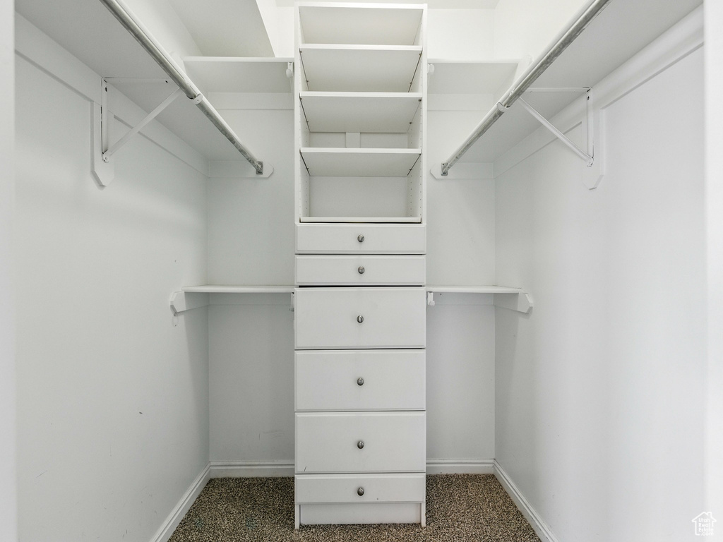 View of walk in closet