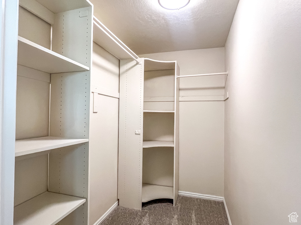 Walk in closet featuring carpet