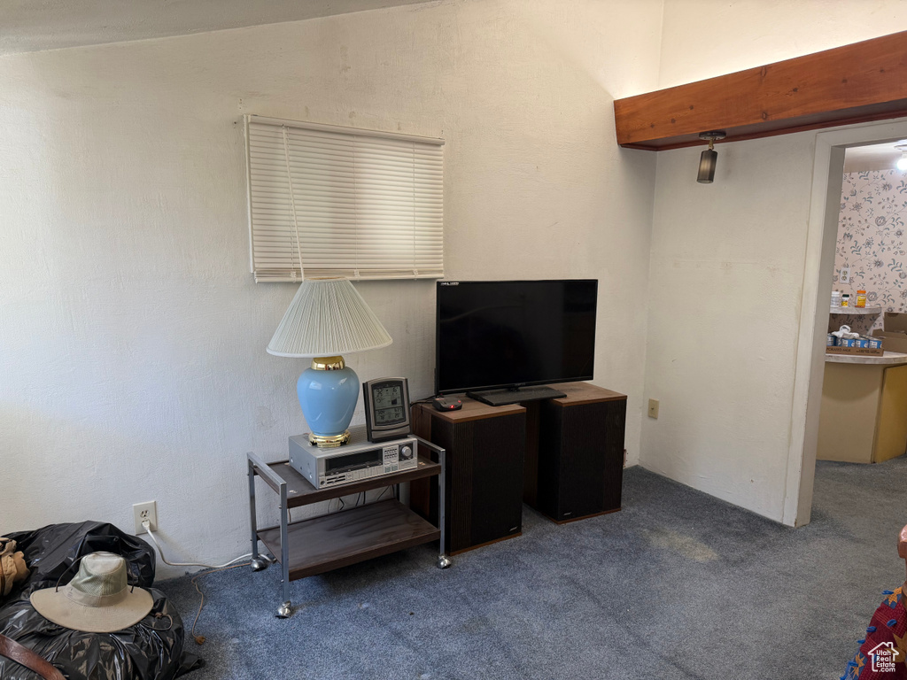View of carpeted living area