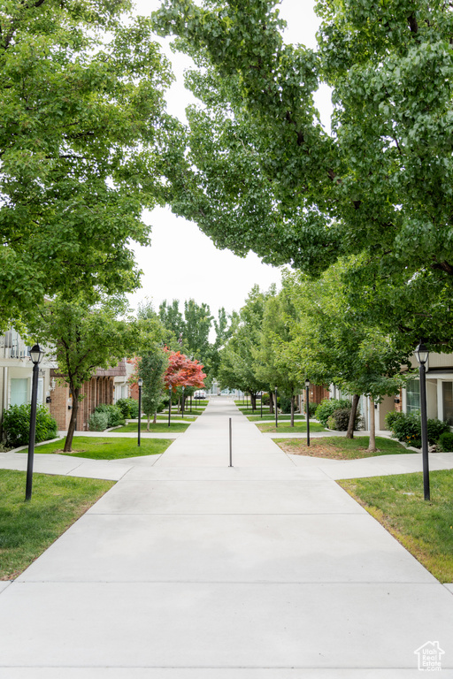 View of community featuring a yard
