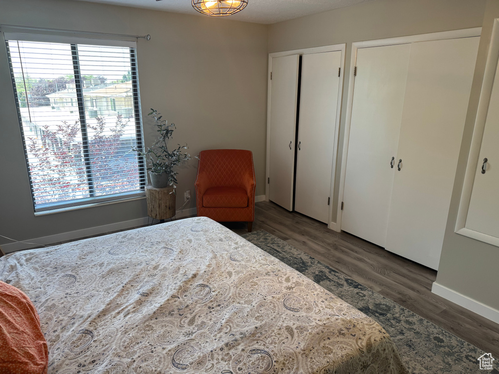 Bedroom featuring multiple closets, multiple windows, and wood finished floors