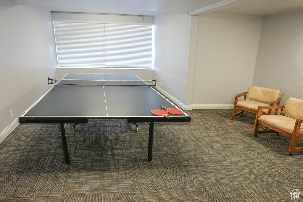 Recreation room with carpet floors