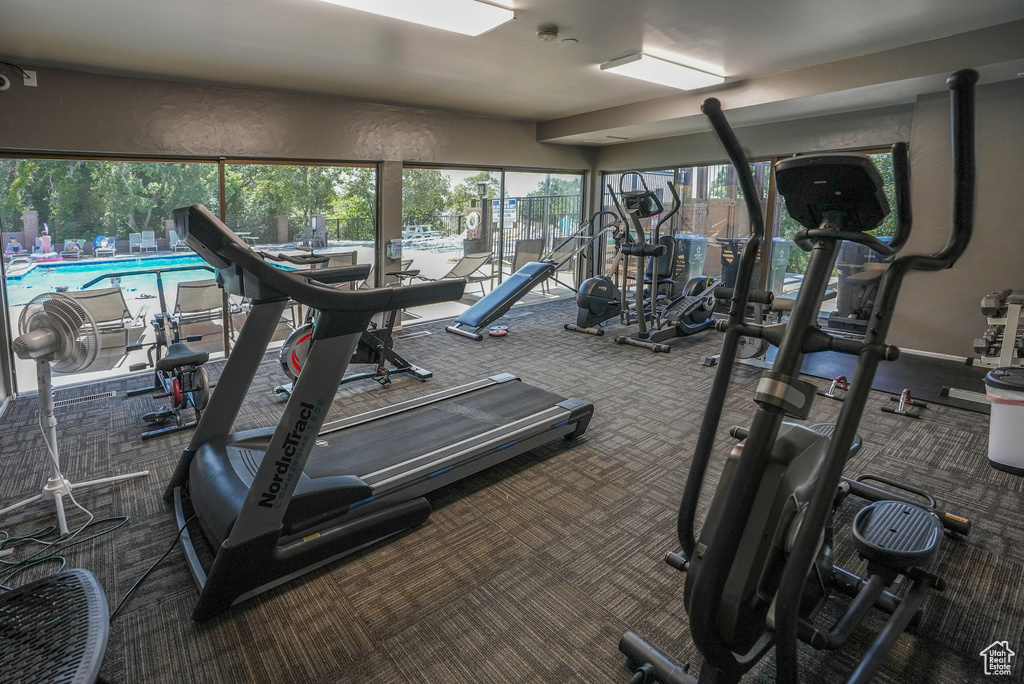 Exercise room featuring carpet