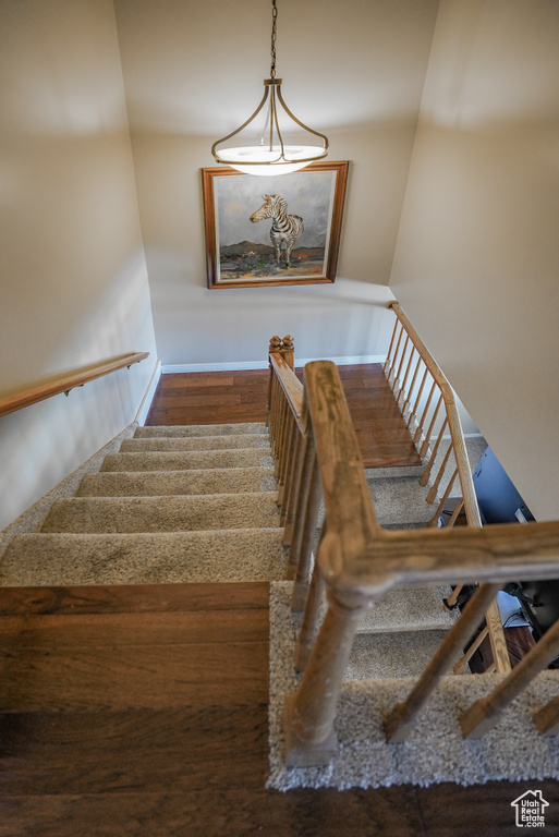 Staircase featuring wood finished floors