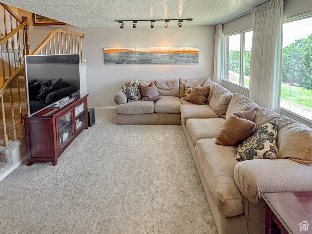Living room featuring a textured ceiling, carpet, rail lighting, and plenty of natural light