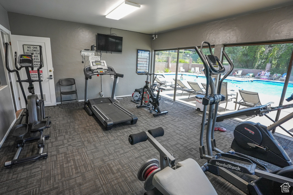 Exercise room featuring carpet