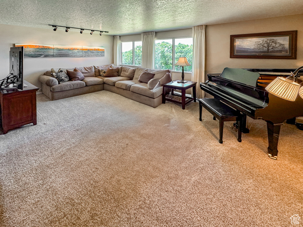 Living area with a textured ceiling, rail lighting, and carpet floors