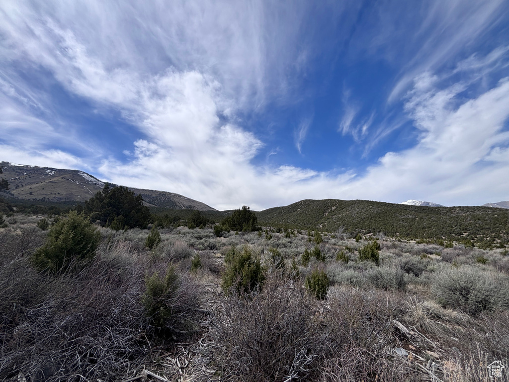 View of mountain background