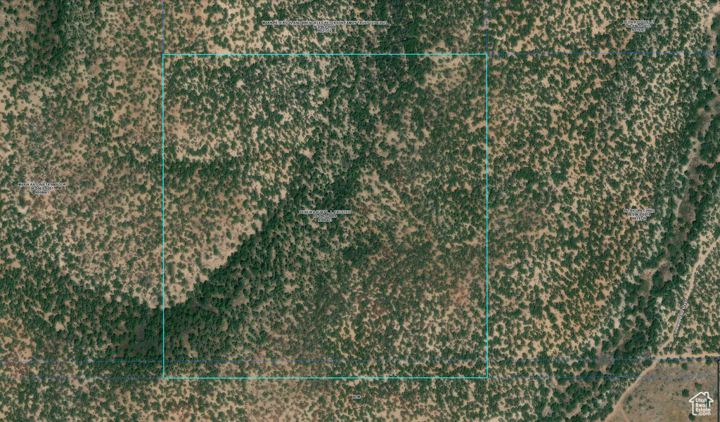 Map / location with property boundaries highlighted