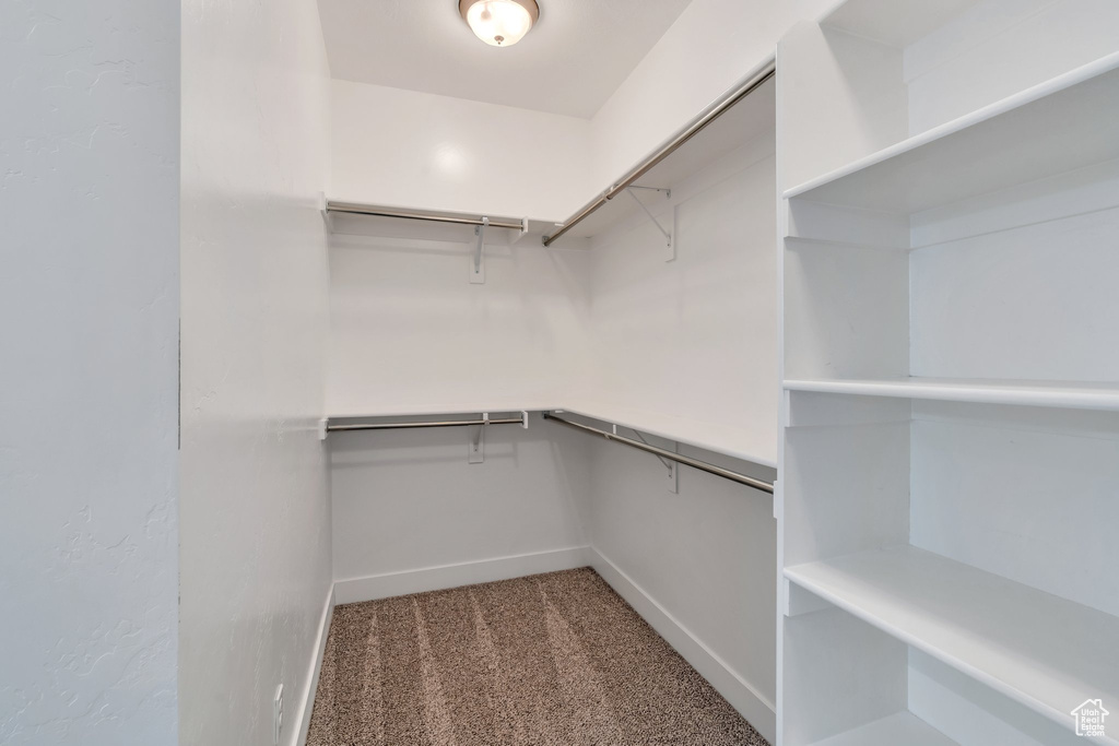 Spacious closet featuring carpet