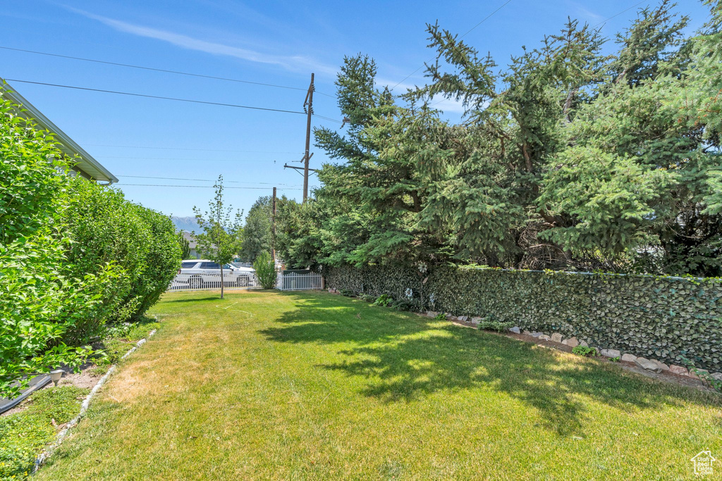 View of yard