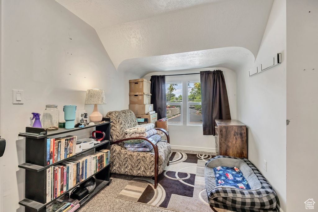 Sitting room featuring vaulted ceiling and a textured ceiling