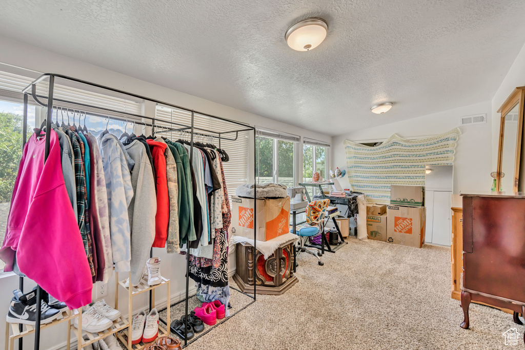 Spacious closet featuring carpet