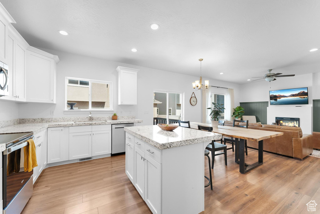 Kitchen with stainless steel appliances, light wood-type flooring, a ceiling fan, a glass covered fireplace, and recessed lighting