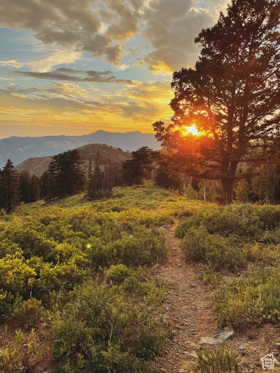 View of mountain backdrop