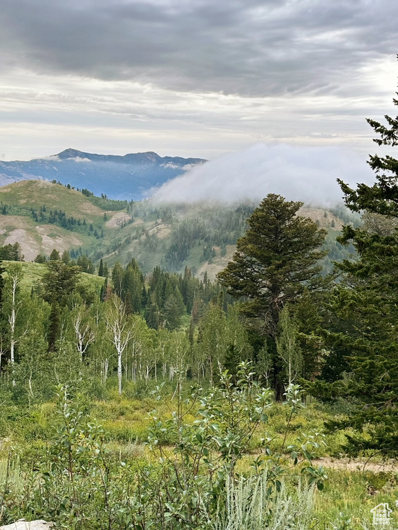 View of mountain background