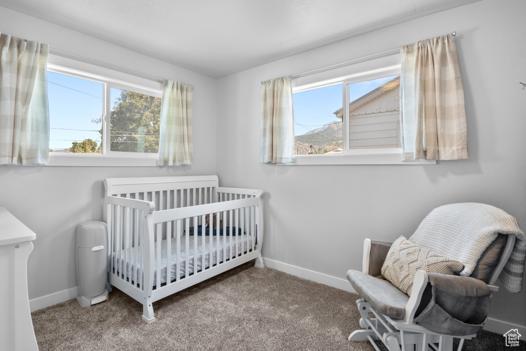 Bedroom featuring multiple windows, carpet, and a nursery area