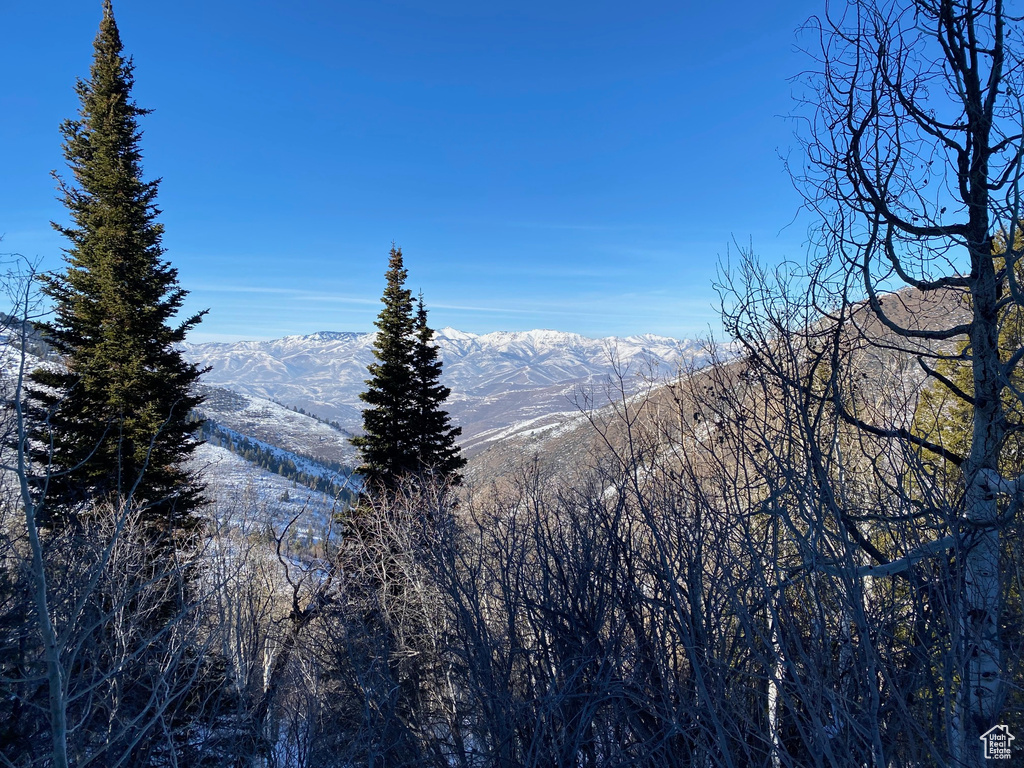 Mountain view
