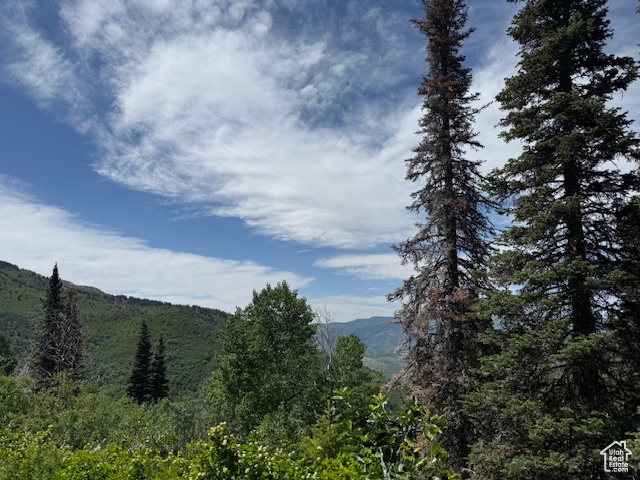 Mountain view with a heavily wooded area