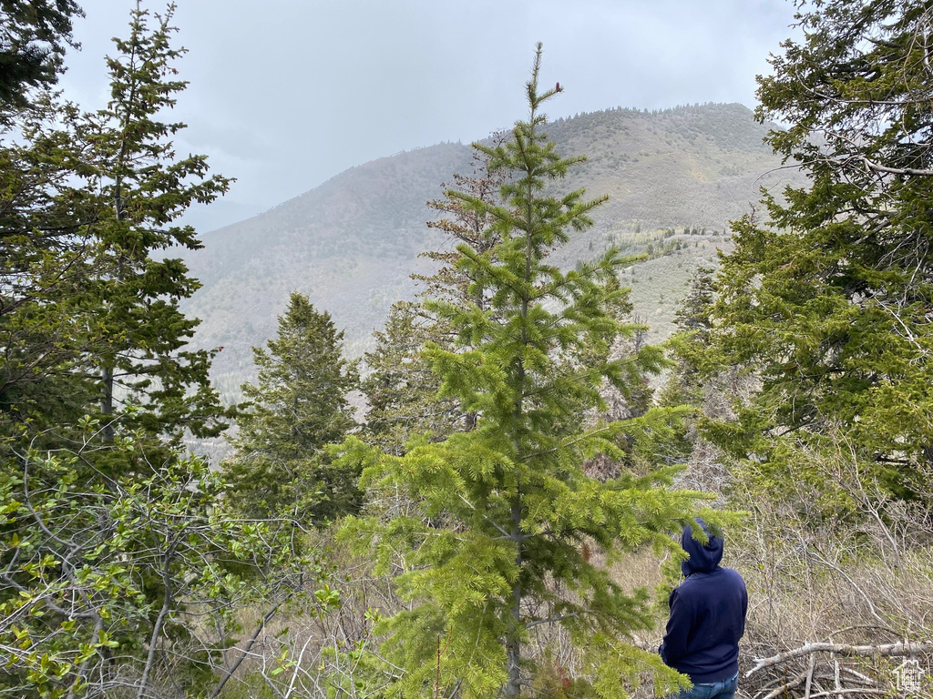 View of mountain background