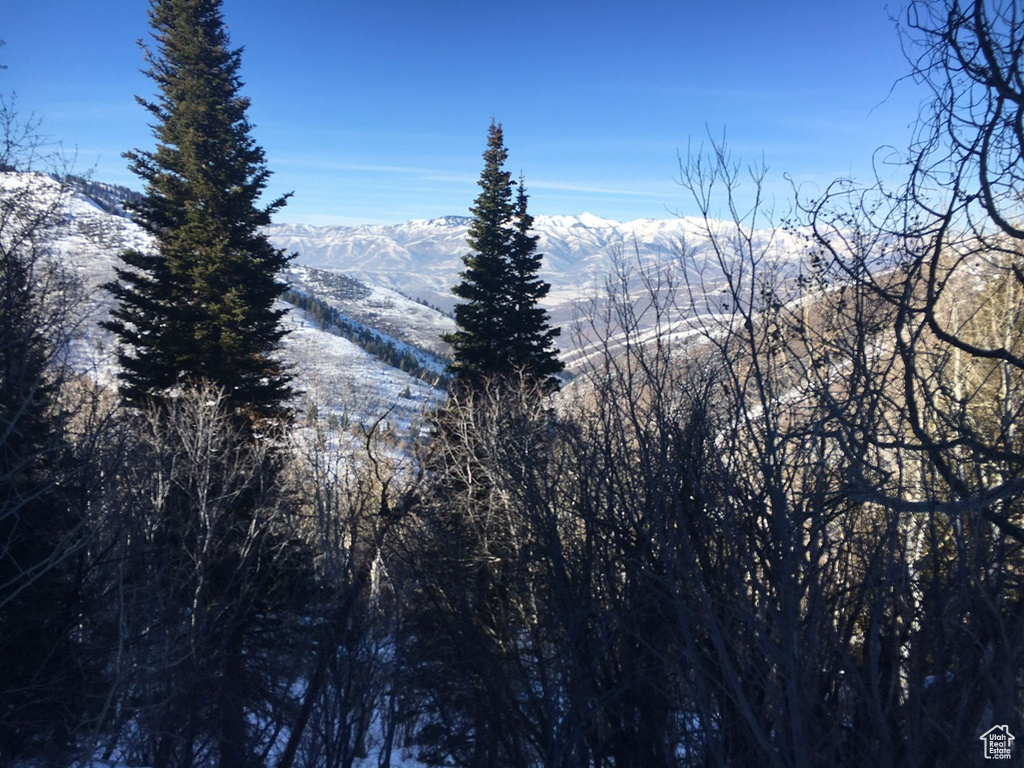 View of mountain backdrop