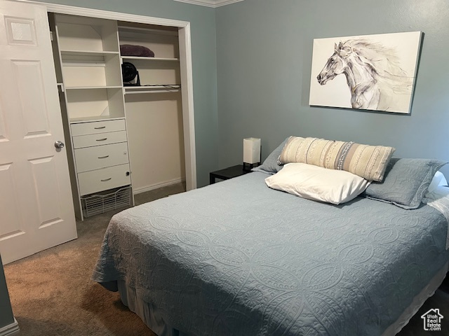 Bedroom featuring dark colored carpet, a closet, and ornamental molding