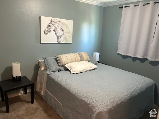 Carpeted bedroom featuring crown molding