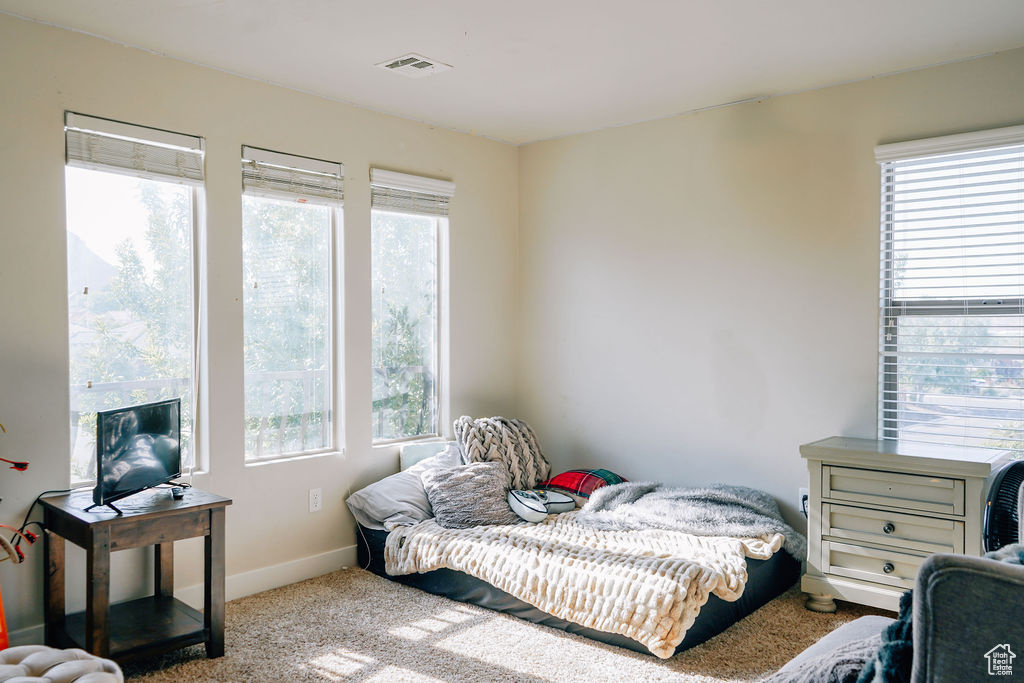 Bedroom with multiple windows and carpet floors