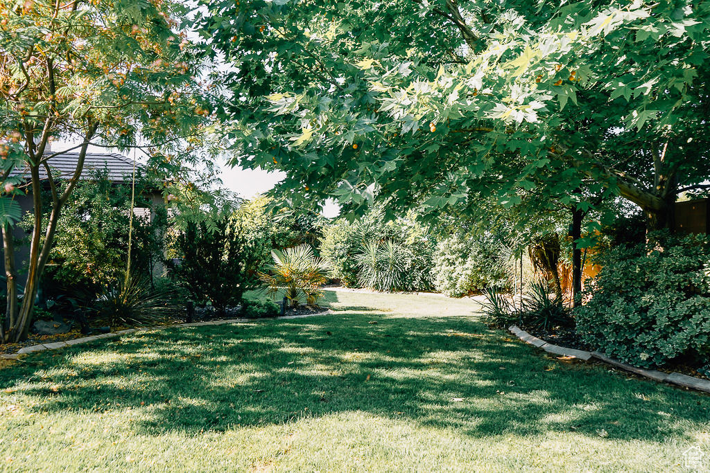 View of grassy yard