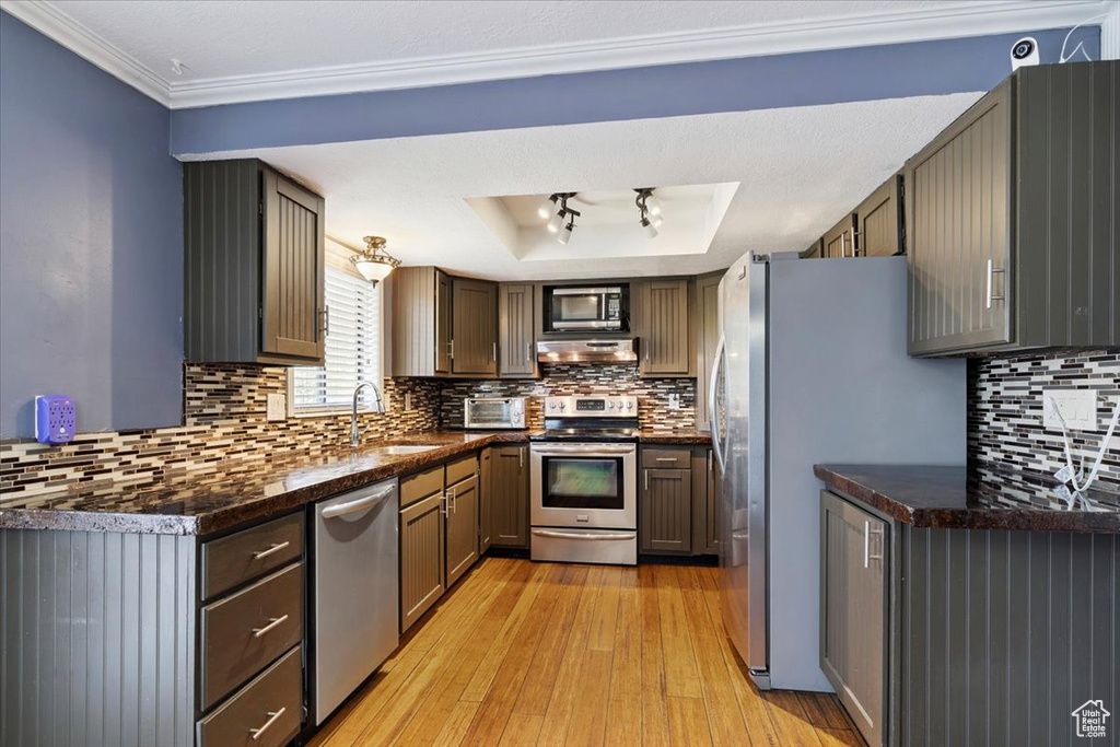 Kitchen with appliances with stainless steel finishes, dark countertops, light wood-style flooring, under cabinet range hood, and ornamental molding