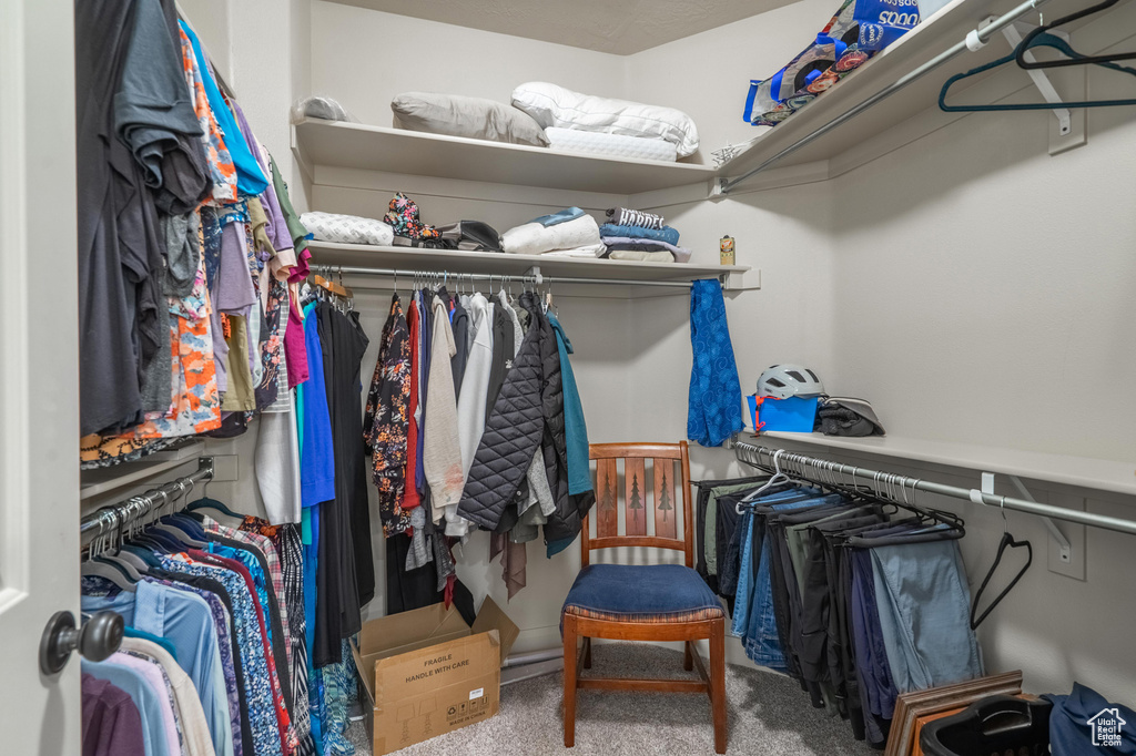 Spacious closet featuring carpet floors
