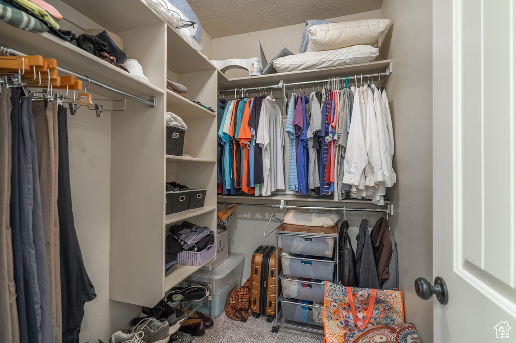 Spacious closet featuring carpet flooring