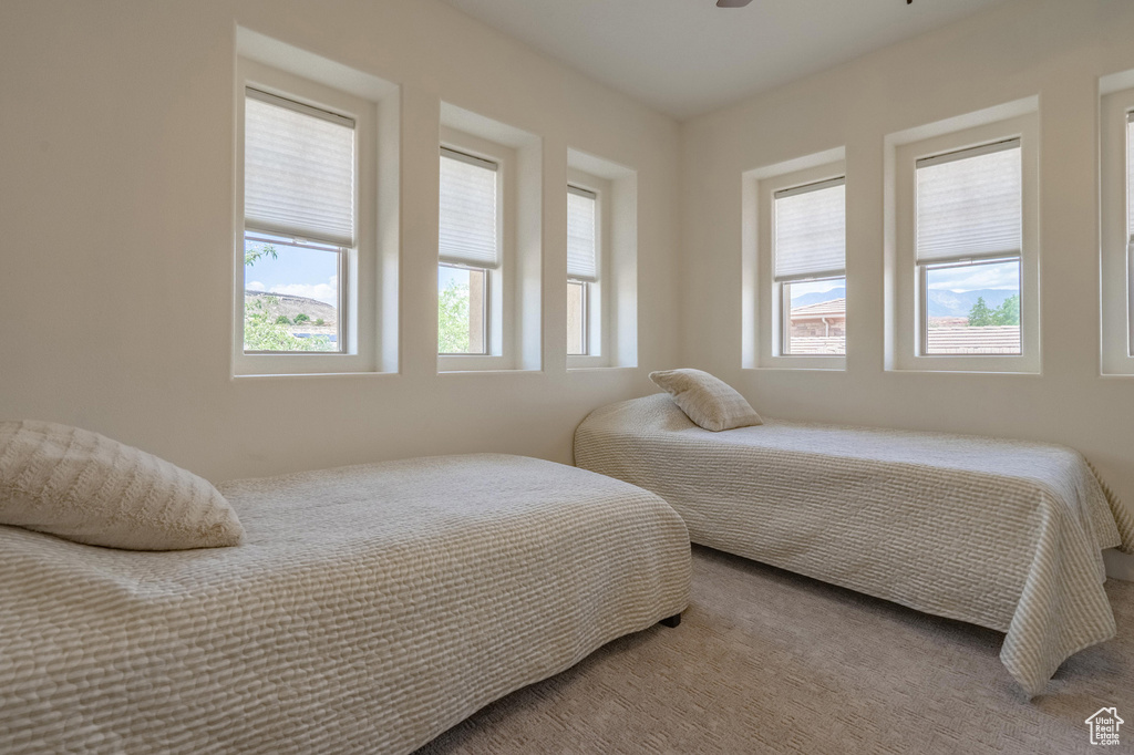 Bedroom with multiple windows